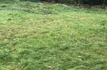 Terrain a batir a vendre Pléneuf-Val-André 22370 Côtes-d'Armor 500 m2  250800 euros