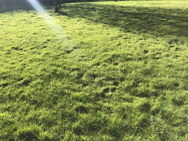 Terrain a batir a vendre Pléneuf-Val-André 22370 Côtes-d'Armor 800 m2  229900 euros