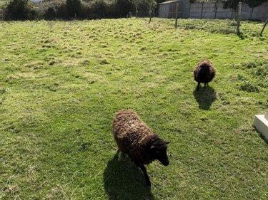 Terrain a batir a vendre Pléneuf-Val-André 22370 Côtes-d'Armor 800 m2  297825 euros