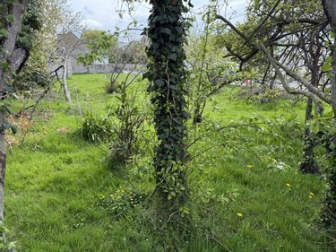 Terrain a batir a vendre Pléneuf-Val-André 22370 Côtes-d'Armor 544 m2  261250 euros