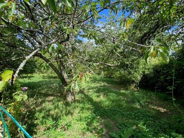 Maison a vendre Plouër-sur-Rance 22490 Côtes-d'Armor 79 m2 4 pièces 197980 euros