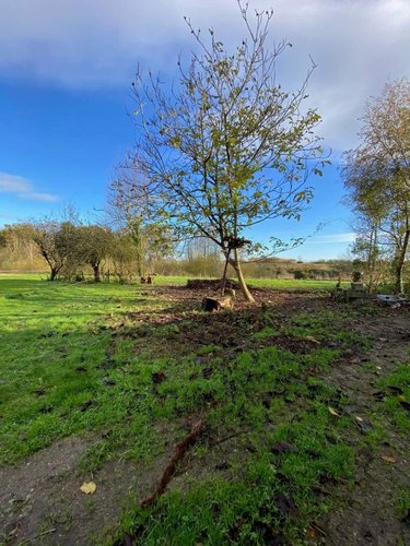 Maison a vendre Saint-Méloir-des-Bois 22980 Côtes-d'Armor 125 m2 5 pièces 349070 euros