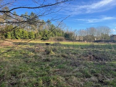 Terrain a batir a vendre Caulnes 22350 Côtes-d'Armor 4970 m2  251520 euros