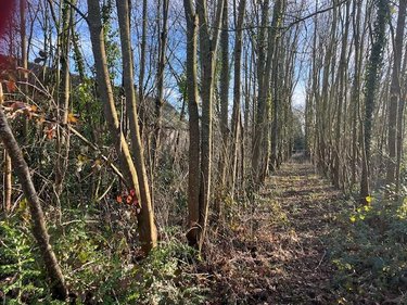 Terrain a batir a vendre Caulnes 22350 Côtes-d'Armor 2069 m2  63600 euros