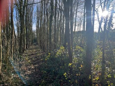 Terrain a batir a vendre Caulnes 22350 Côtes-d'Armor 2069 m2  63600 euros