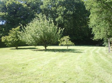 Maison a vendre Gomené 22230 Côtes-d'Armor 123 m2 6 pièces 125000 euros