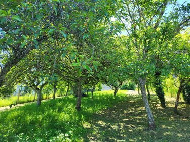 Maison a vendre Guéret 23000 Creuse 160 m2 6 pièces 74900 euros