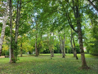 Maison a vendre Fresselines 23450 Creuse 113 m2 4 pièces 168000 euros