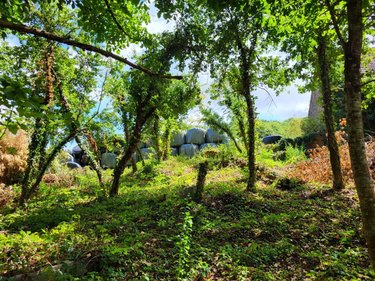 Maison a vendre Dun-le-Palestel 23800 Creuse 50 m2 4 pièces 22400 euros