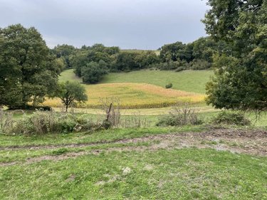 Maison a vendre Lusignac 24320 Dordogne 85 m2 4 pièces 160500 euros