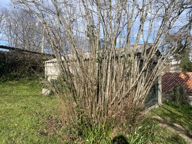 Maison a vendre Ribérac 24600 Dordogne 157 m2 4 pièces 171200 euros