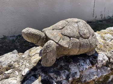 Maison a vendre Celles 24600 Dordogne 142 m2 6 pièces 199020 euros