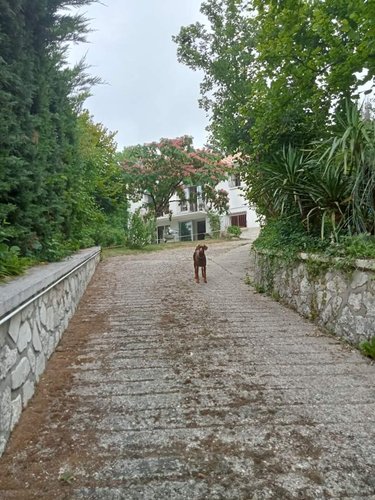 Maison a vendre Ribérac 24600 Dordogne 154 m2 5 pièces 188320 euros