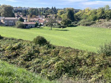 Bien agricole a vendre Ribérac 24600 Dordogne 80 m2  38000 euros