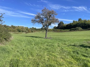 Bien agricole a vendre Ribérac 24600 Dordogne 80 m2  38000 euros