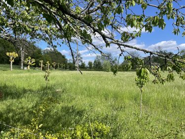 Maison a vendre Villetoureix 24600 Dordogne 116 m2 4 pièces 176550 euros