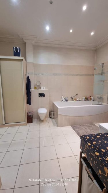 propriete a vendre Saint-Maurice 94410 Val-de-Marne 543 m2 15 pièces 4767760 euros