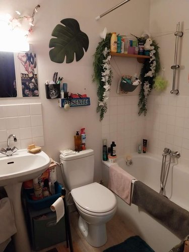 Location appartement Pont-Audemer 27500 Eure 26 m2 1 pièce 375 euros