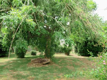 Maison a vendre Plozévet 29710 Finistère 134 m2 7 pièces 255290 euros