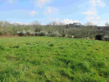 Maison a vendre Cléden-Cap-Sizun 29770 Finistère 121 m2 5 pièces 171930 euros