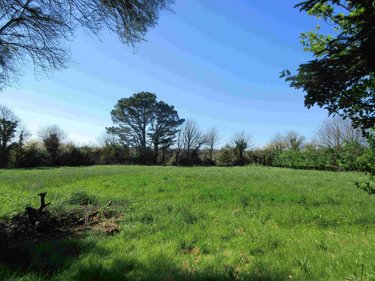 Maison a vendre Audierne 29770 Finistère 124 m2 5 pièces 197980 euros