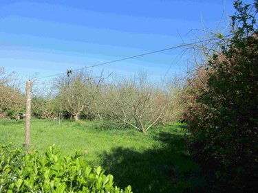 Maison a vendre Audierne 29770 Finistère 124 m2 5 pièces 197980 euros
