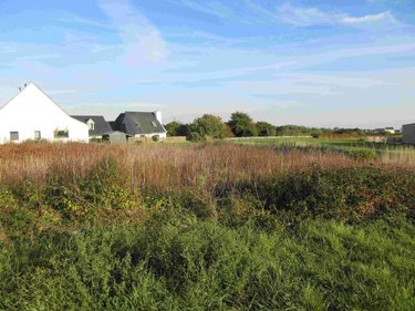 Maison a vendre Plouhinec 29780 Finistère 1 m2 1 pièce 79500 euros