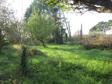 Maison a vendre Beuzec-Cap-Sizun 29790 Finistère 199 m2 9 pièces 208400 euros