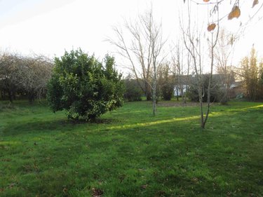 Maison a vendre Plozévet 29710 Finistère 35 m2 2 pièces 120520 euros