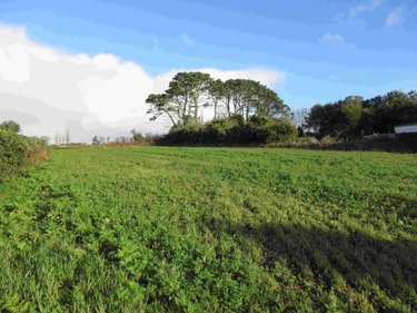 Maison a vendre Plouhinec 29780 Finistère 1 m2 1 pièce 49820 euros