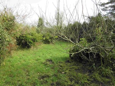 Maison a vendre Primelin 29770 Finistère 1 m2 1 pièce 74200 euros