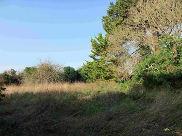 Maison a vendre Cléden-Cap-Sizun 29770 Finistère 1 m2 4 pièces 146720 euros