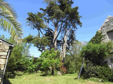 Maison a vendre Mahalon 29790 Finistère 1 m2 5 pièces 260500 euros