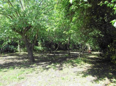 Maison a vendre Cléden-Cap-Sizun 29770 Finistère 1 m2 5 pièces 229240 euros