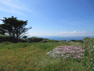 Maison a vendre Plouhinec 29780 Finistère 1 m2 6 pièces 415360 euros