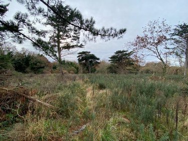 Terrains de loisirs bois etangs a vendre Plobannalec-Lesconil 29740 Finistère 11200 m2  17000 euros