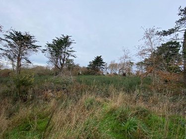 Terrains de loisirs bois etangs a vendre Plobannalec-Lesconil 29740 Finistère 11200 m2  17000 euros