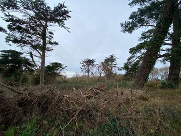 Terrains de loisirs bois etangs a vendre Plobannalec-Lesconil 29740 Finistère 11200 m2  17000 euros