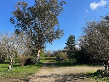 Maison a vendre Plomeur 29120 Finistère 300 m2 14 pièces 877800 euros
