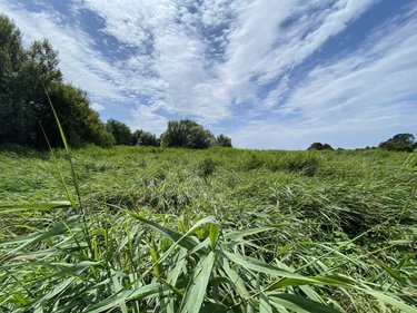 Maison a vendre Plonéour-Lanvern 29720 Finistère 125 m2 6 pièces 499000 euros