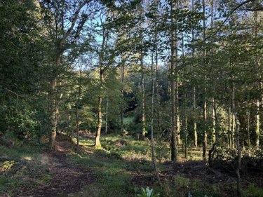 Maison a vendre Saint-Méen 29260 Finistère 152 m2 6 pièces 291222 euros