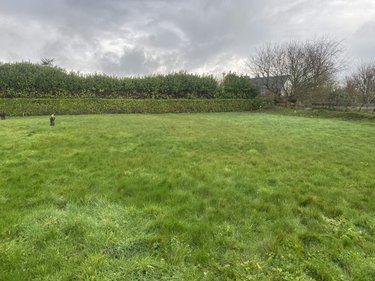 Terrain a batir a vendre Lanmeur 29620 Finistère 600 m2  48000 euros