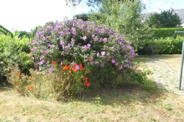 Maison a vendre Quimper 29000 Finistère 100 m2 5 pièces 221370 euros
