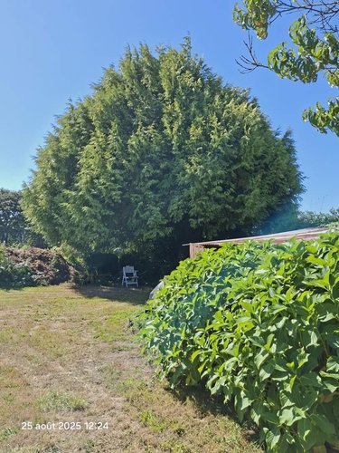 Maison a vendre Poullan-sur-Mer 29100 Finistère 82 m2 6 pièces 167500 euros
