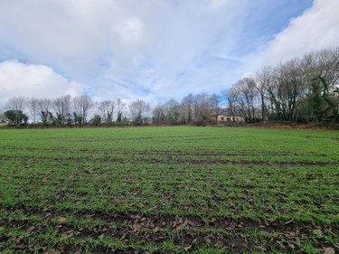 Terrain a batir a vendre Locronan 29180 Finistère 2183 m2  142360 euros