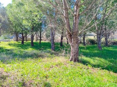 Terrain a batir a vendre Sauzet 30190 Gard 440 m2  115500 euros