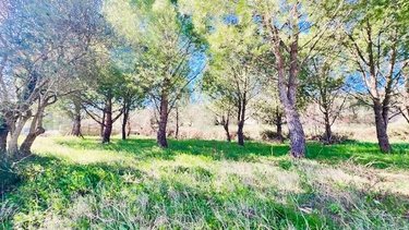 Terrain a batir a vendre Sauzet 30190 Gard 440 m2  115500 euros