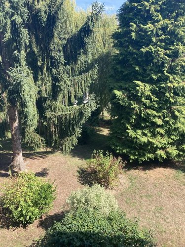 Location appartement Rennes 35000 Ille-et-Vilaine 76 m2 3 pièces 879 euros