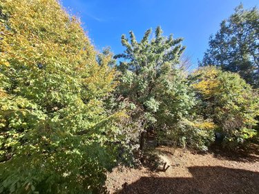 Appartement a vendre Rennes 35000 Ille-et-Vilaine 77 m2 4 pièces 265000 euros