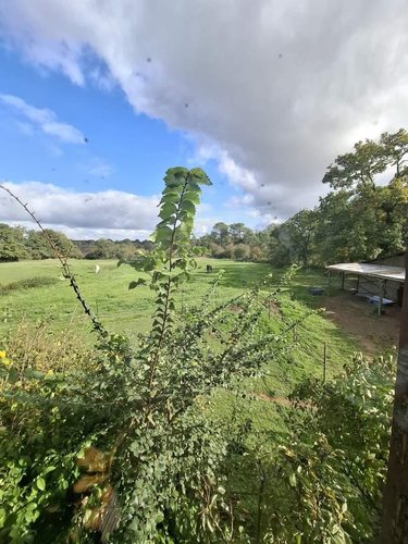 Maison a vendre Iffendic 35750 Ille-et-Vilaine 159 m2 6 pièces 381425 euros